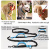 Dog-Running-Comfortable-Leashes-Dog-Accessories-Leash-For-Dogs-Supplies-Chiens-Traction-Rope-Pet-Elastic-Dog-2
